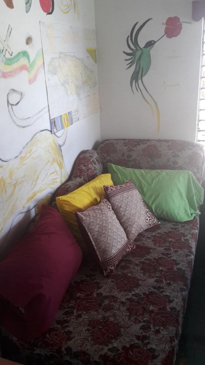 Holiday Home - Guest House ポート・アントニオ エクステリア 写真